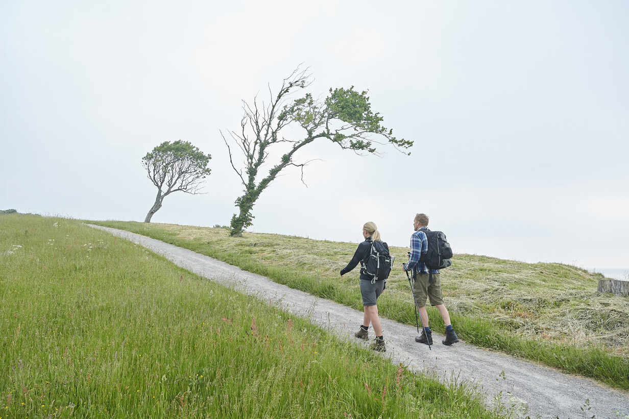 Two people walking together along a tree-lined path on a calm sunny day